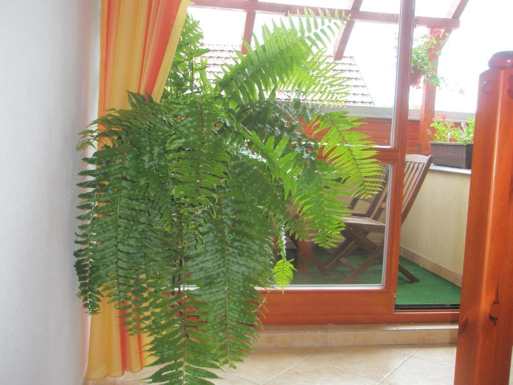 Villa Elena Smižany Pokój zdjęcie